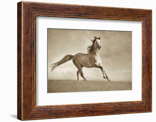 Like the Wind-Lisa Dearing-Framed Photographic Print