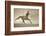 Like the Wind-Lisa Dearing-Framed Photographic Print