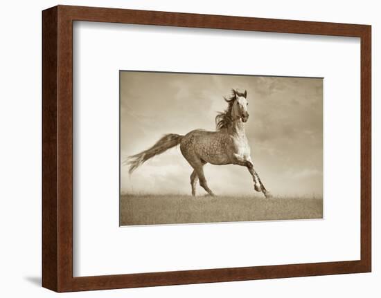 Like the Wind-Lisa Dearing-Framed Photographic Print