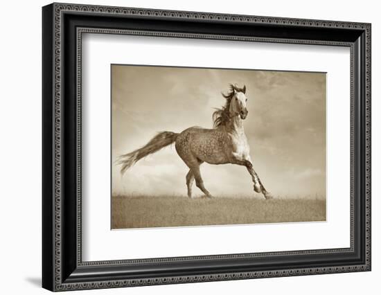 Like the Wind-Lisa Dearing-Framed Photographic Print