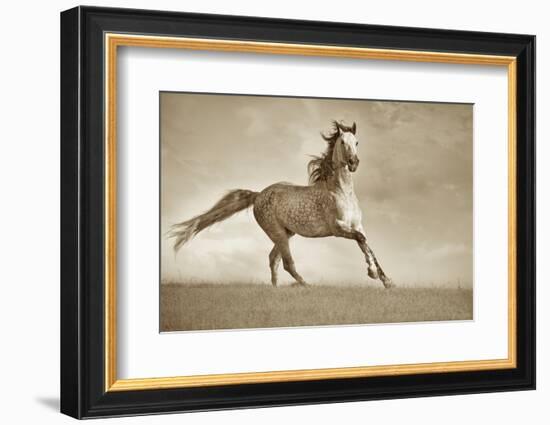 Like the Wind-Lisa Dearing-Framed Photographic Print