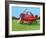 Lil Airplane-Cindy Thornton-Framed Premium Giclee Print