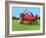 Lil Airplane-Cindy Thornton-Framed Art Print