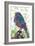 Lil Birdy-Teofilo Olivieri-Framed Giclee Print