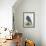 Lil Birdy-Teofilo Olivieri-Framed Giclee Print displayed on a wall