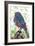 Lil Birdy-Teofilo Olivieri-Framed Giclee Print