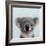 Lil Koala-Lucia Heffernan-Framed Art Print