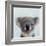 Lil Koala-Lucia Heffernan-Framed Art Print