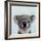 Lil Koala-Lucia Heffernan-Framed Art Print