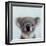 Lil Koala-Lucia Heffernan-Framed Art Print