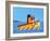 Lil Tugboat-Cindy Thornton-Framed Art Print