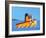 Lil Tugboat-Cindy Thornton-Framed Art Print