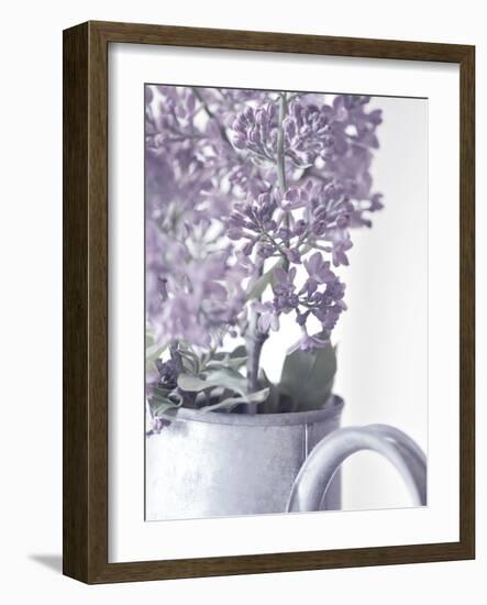 Lilac 1-Philippe Sainte-Laudy-Framed Photographic Print