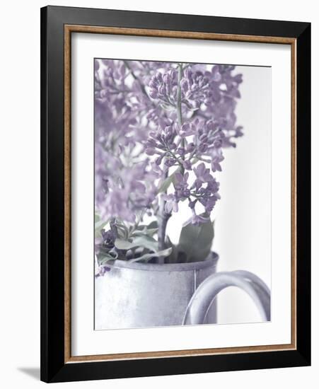 Lilac 1-Philippe Sainte-Laudy-Framed Photographic Print