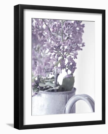 Lilac 1-Philippe Sainte-Laudy-Framed Photographic Print