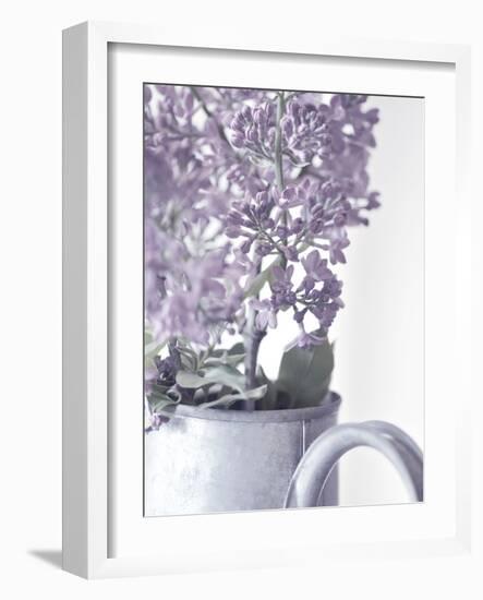 Lilac 1-Philippe Sainte-Laudy-Framed Photographic Print