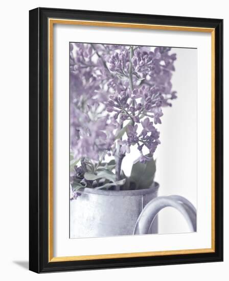 Lilac 1-Philippe Sainte-Laudy-Framed Photographic Print