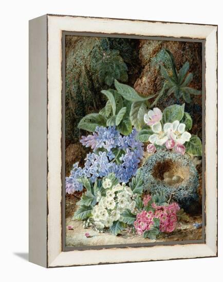 Lilac Blossom and a Bird's Nest-Oliver Clare-Framed Premier Image Canvas