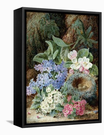 Lilac Blossom and a Bird's Nest-Oliver Clare-Framed Premier Image Canvas