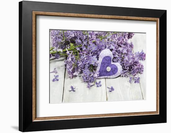 Lilac, Blossoms, Mauve, Violet, Heart-Andrea Haase-Framed Photographic Print