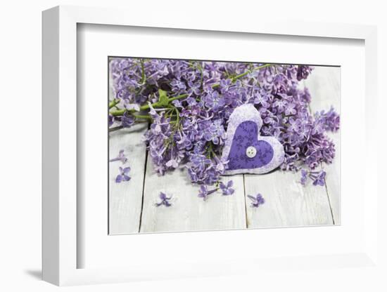 Lilac, Blossoms, Mauve, Violet, Heart-Andrea Haase-Framed Photographic Print