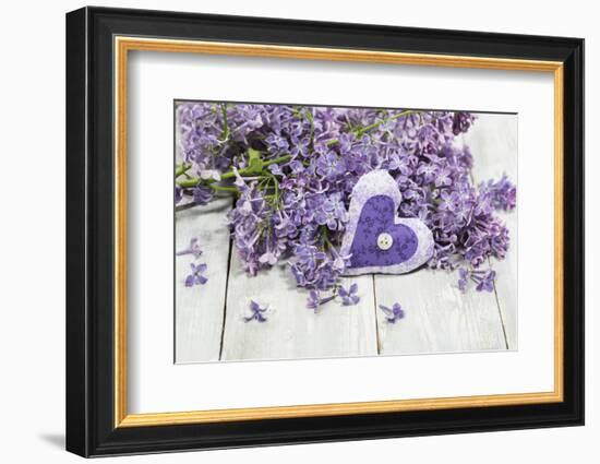 Lilac, Blossoms, Mauve, Violet, Heart-Andrea Haase-Framed Photographic Print