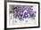 Lilac, Blossoms, Mauve, Violet, Heart-Andrea Haase-Framed Photographic Print