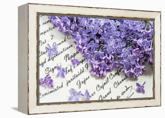 Lilac, Blossoms, Purple, Violet, Spring-Andrea Haase-Framed Premier Image Canvas