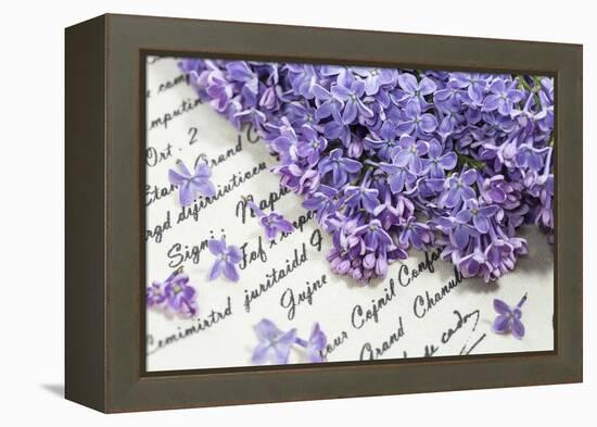 Lilac, Blossoms, Purple, Violet, Spring-Andrea Haase-Framed Premier Image Canvas