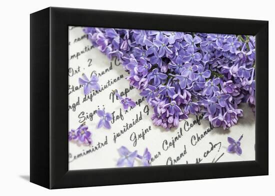 Lilac, Blossoms, Purple, Violet, Spring-Andrea Haase-Framed Premier Image Canvas