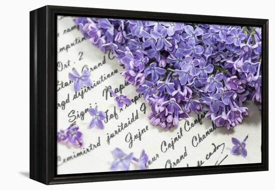 Lilac, Blossoms, Purple, Violet, Spring-Andrea Haase-Framed Premier Image Canvas