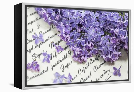 Lilac, Blossoms, Purple, Violet, Spring-Andrea Haase-Framed Premier Image Canvas