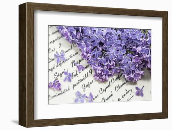 Lilac, Blossoms, Purple, Violet, Spring-Andrea Haase-Framed Photographic Print