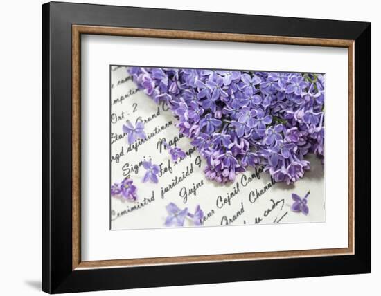 Lilac, Blossoms, Purple, Violet, Spring-Andrea Haase-Framed Photographic Print