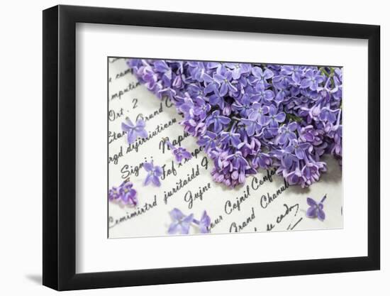 Lilac, Blossoms, Purple, Violet, Spring-Andrea Haase-Framed Photographic Print