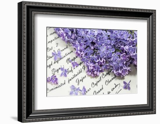 Lilac, Blossoms, Purple, Violet, Spring-Andrea Haase-Framed Photographic Print