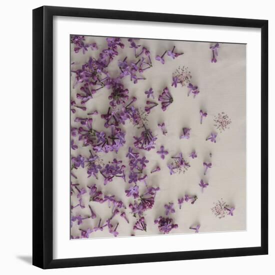 Lilac blossoms 'vintage'-Martina Elisabeth Tasch-Framed Photographic Print