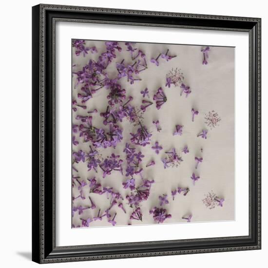 Lilac blossoms 'vintage'-Martina Elisabeth Tasch-Framed Photographic Print