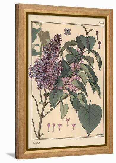 Lilac Botanical Study.-Eugene Grasset-Framed Premier Image Canvas