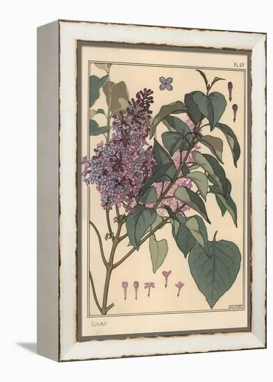 Lilac Botanical Study.-Eugene Grasset-Framed Premier Image Canvas