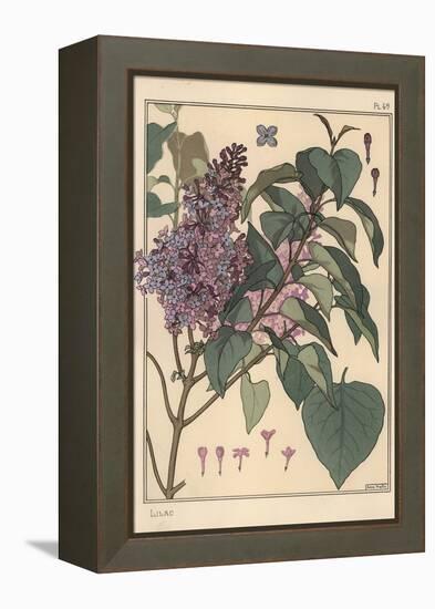 Lilac Botanical Study.-Eugene Grasset-Framed Premier Image Canvas