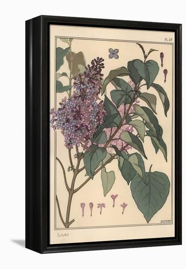 Lilac Botanical Study.-Eugene Grasset-Framed Premier Image Canvas