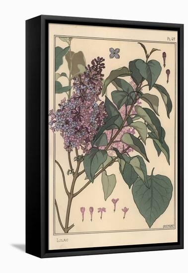 Lilac Botanical Study.-Eugene Grasset-Framed Premier Image Canvas