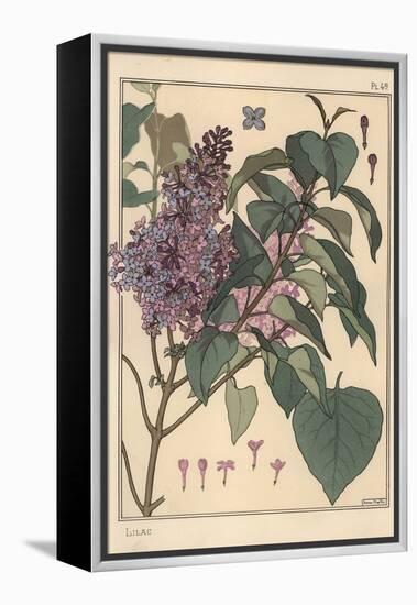 Lilac Botanical Study.-Eugene Grasset-Framed Premier Image Canvas