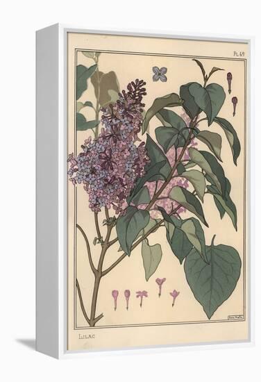 Lilac Botanical Study.-Eugene Grasset-Framed Premier Image Canvas