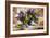 Lilac Bouquet In A Vase-balaikin2009-Framed Art Print