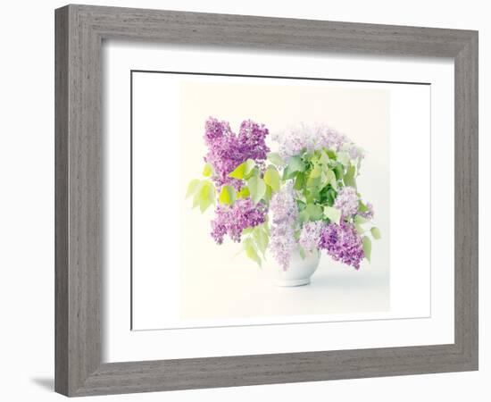 Lilac Bouquet-Judy Stalus-Framed Art Print