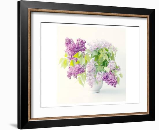 Lilac Bouquet-Judy Stalus-Framed Art Print