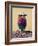 Lilac-Breasted Roller, Maasai Mara, Kenya-Joe Restuccia III-Framed Photographic Print