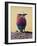 Lilac-Breasted Roller, Maasai Mara, Kenya-Joe Restuccia III-Framed Photographic Print